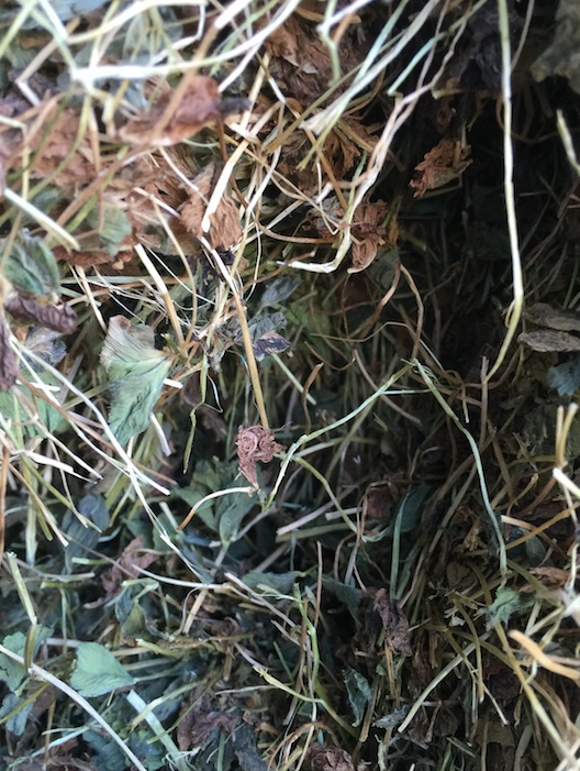 Top Quality Clover hay 800kg Shedded Hay & Fodder Clover